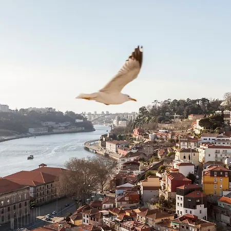 דירה Citybreak-apartments Douro View פורטו