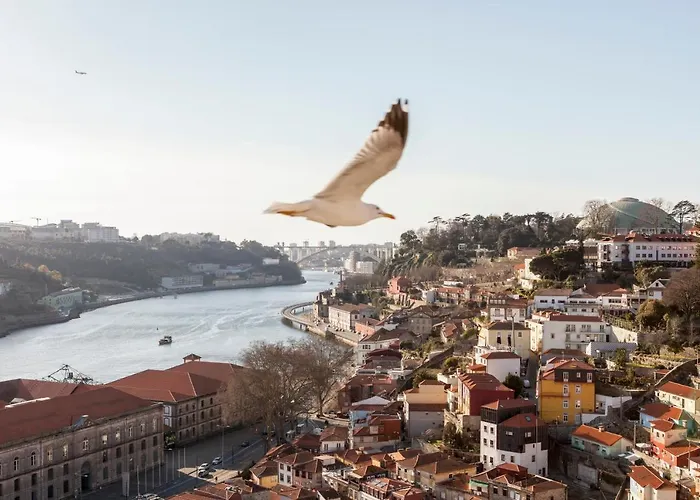 Apartment Citybreak-apartments Douro View Porto